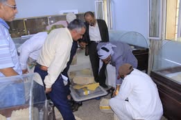 توثيق القطع الأثريه لمتحف قسم الآثار في جامعة صنعاء - صورة إضافية 3